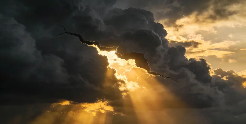 临汾肺癌11基因检测组织版图片1